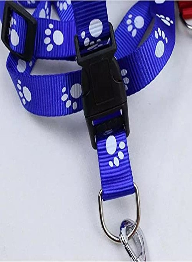 KittuPet 10 mm pow print harness and leash color may very (pack of 1 pcs) - Image 3
